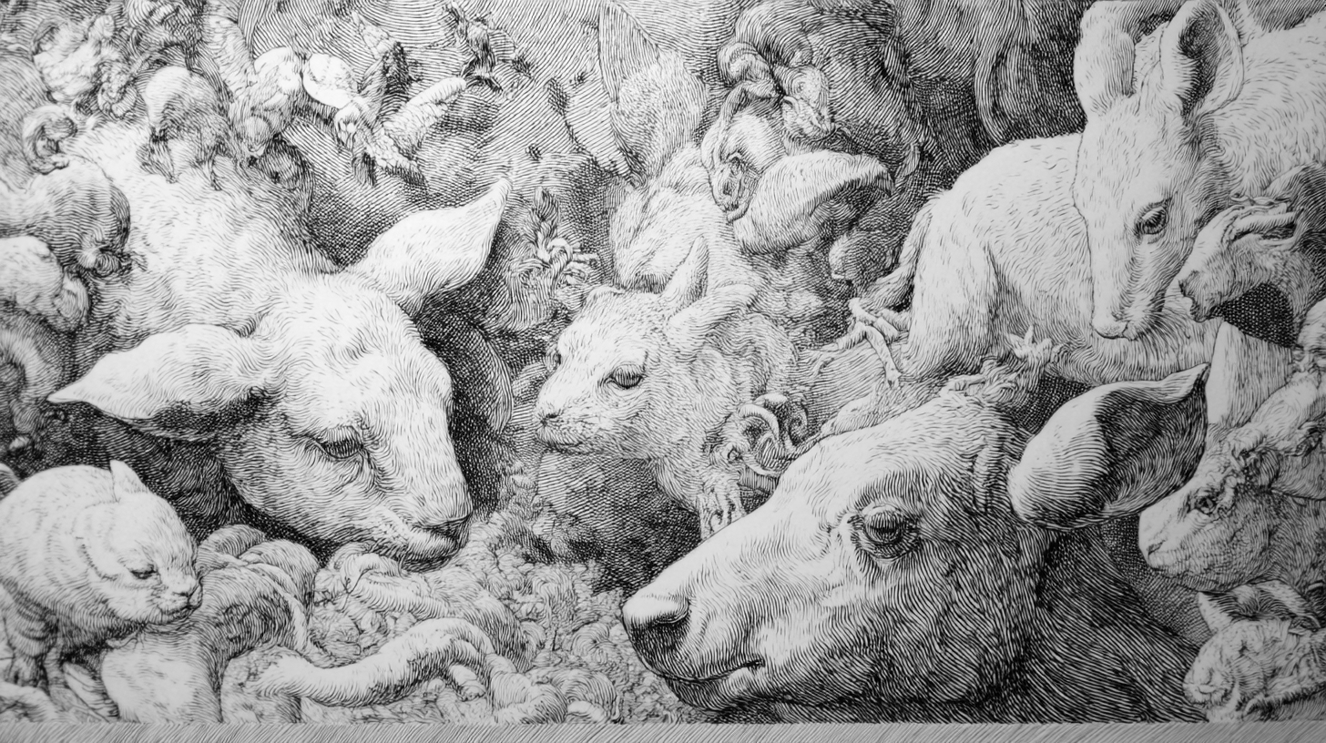 Accompagnement créatif